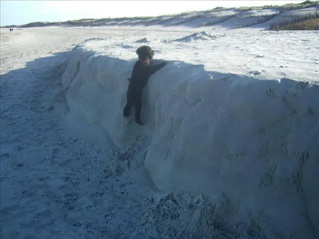 Am Flugplatz Hotel 2*